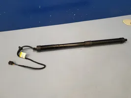 Volkswagen Sharan Tailgate strut 7N0827851E