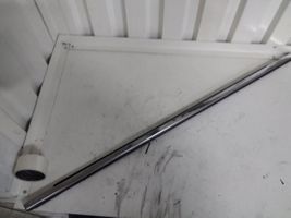 Chrysler Voyager Front door glass trim molding GEN4041