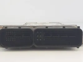 Hyundai Santa Fe Sterownik / Moduł ECU 3910127825