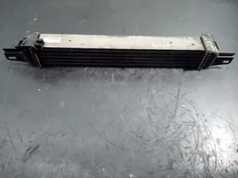 Citroen Nemo Chłodnica powietrza doładowującego / Intercooler 51790623