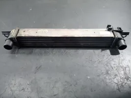 Citroen Nemo Chłodnica powietrza doładowującego / Intercooler 51790623