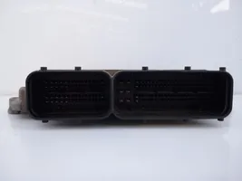 KIA Carens III Sterownik / Moduł ECU 391202A410