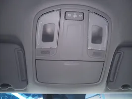 Hyundai Tucson TL Verkleidung Dachhimmel Innenraumbeleuchtung 