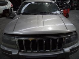 Jeep Grand Cherokee (WJ) Vano motore/cofano 