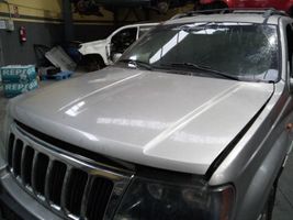 Jeep Grand Cherokee (WJ) Konepelti 