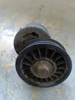 Audi A4 S4 B5 8D Napinacz paska wielorowkowego / Alternatora 