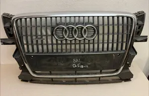 Audi Q5 SQ5 Etusäleikkö 8R0853651