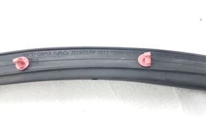 Ford Edge II Rubber seal rear door 010440307