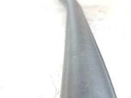 Ford Fusion II Rear door rubber seal (on body) 010440111Z