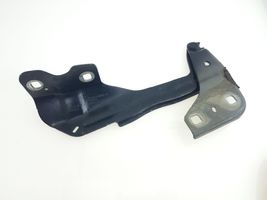 Ford Edge II Engine bonnet/hood hinges FT4BR16800A