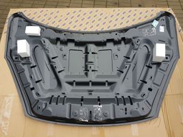 Ford Escape IV Pokrywa przednia / Maska silnika LV4BS16854