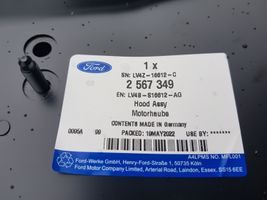 Ford Escape IV Pokrywa przednia / Maska silnika LV4BS16854