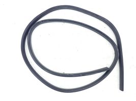 Ford C-MAX II Rear door rubber seal (on body) 