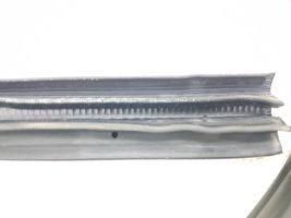 Ford C-MAX II Rear door rubber seal (on body) 