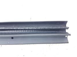 Ford C-MAX II Rear door rubber seal (on body) 