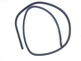 Ford C-MAX II Rear door rubber seal (on body) 