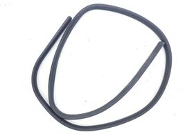 Ford C-MAX II Rear door rubber seal (on body) 