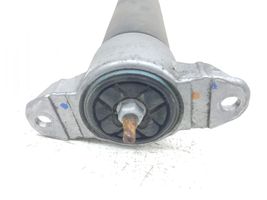 Ford C-MAX II Rear shock absorber/damper FV6118080