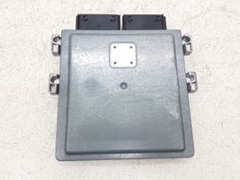 Ford Edge II Sterownik / Moduł ECU G2GA12A650