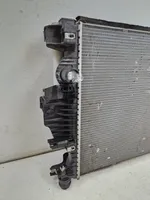 Ford Mondeo MK V Set del radiatore DG938005