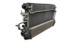 Ford Fusion II Set del radiatore HG938005