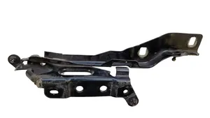 Ford F150 Cerniere del vano motore/cofano FL3416801