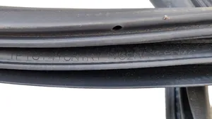 Ford Ranger Sandarinimo guma priekinių durų (ant kėbulo) 1F101410NTRI