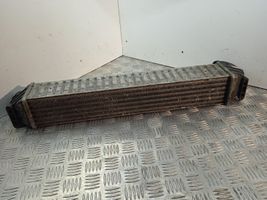 Volkswagen Sharan Chłodnica powietrza doładowującego / Intercooler 1710078