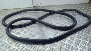 Volkswagen Touareg II Front door rubber seal 7P0867365