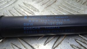 BMW Z4 E89 Takaluukun tuen kaasujousi 7191255