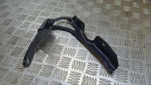 BMW Z4 E89 Tailgate/trunk/boot hinge 
