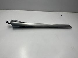 BMW X5 E70 Altro elemento di rivestimento della portiera anteriore 4993001