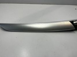 BMW X5 E70 Altro elemento di rivestimento della portiera anteriore 4993001