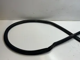 Maserati Levante Front door rubber seal 670032870