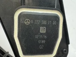 Mercedes-Benz CLS C218 X218 Pedał gazu / przyspieszenia A2223001100