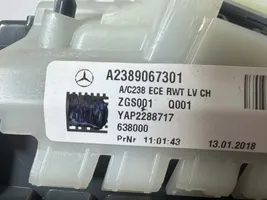 Mercedes-Benz E W238 Feux arrière sur hayon A2389067301