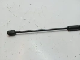 Mercedes-Benz CLS C218 X218 Tailgate/trunk strut/damper A2189800164