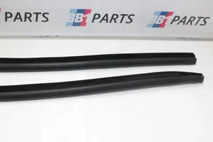 BMW 4 F32 F33 Front door rubber seal 7279747