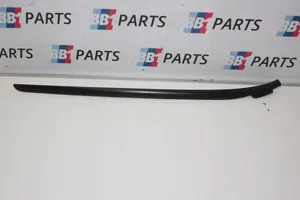 BMW 4 F32 F33 Front door windshield rail 7296010