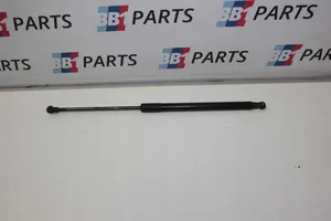 BMW 1 F20 F21 Puntone del portellone posteriore 7239871