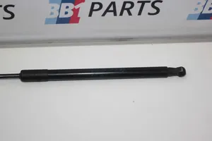 BMW 1 F20 F21 Puntone del portellone posteriore 7239871