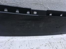 Ford Edge II Front door trim (molding) FT4B-R20899