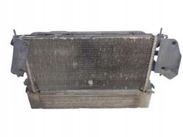 Citroen Jumper Chłodnica powietrza doładowującego / Intercooler 1342584080