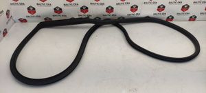 BMW 2 F22 F23 Front door rubber seal 7267911