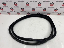 BMW 5 F10 F11 Rear door rubber seal (on body) 7199775