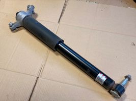 Ford Explorer Rear shock absorber/damper LB5C18W002AF