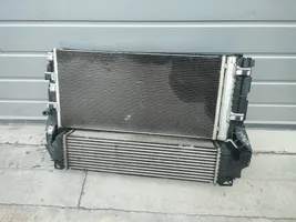 BMW X1 F48 F49 Set del radiatore 17428596240