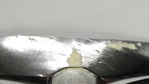 Lancia Ypsilon Etusäleikkö 