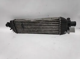 Ford Fiesta Radiatore intercooler 