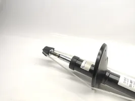 Dacia Logan I Front shock absorber/damper 